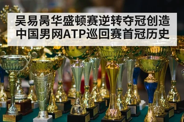 吴易昺华盛顿赛逆转夺冠创造中国男网ATP巡回赛首冠历史