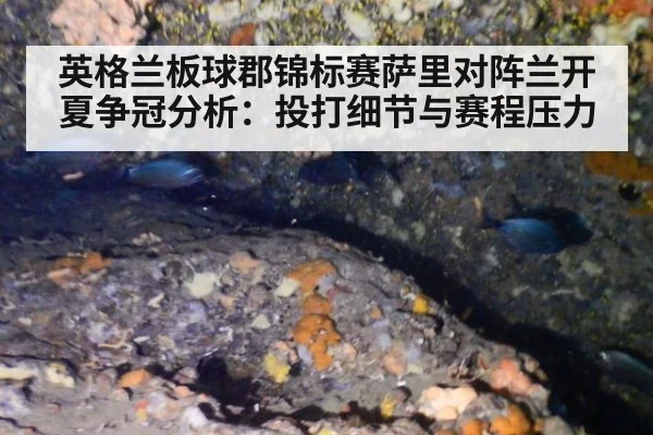 英格兰板球郡锦标赛萨里对阵兰开夏争冠分析：投打细节与赛程压力